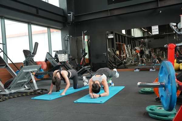 Fitness ve Kardiýo Arasýndaki Farklar